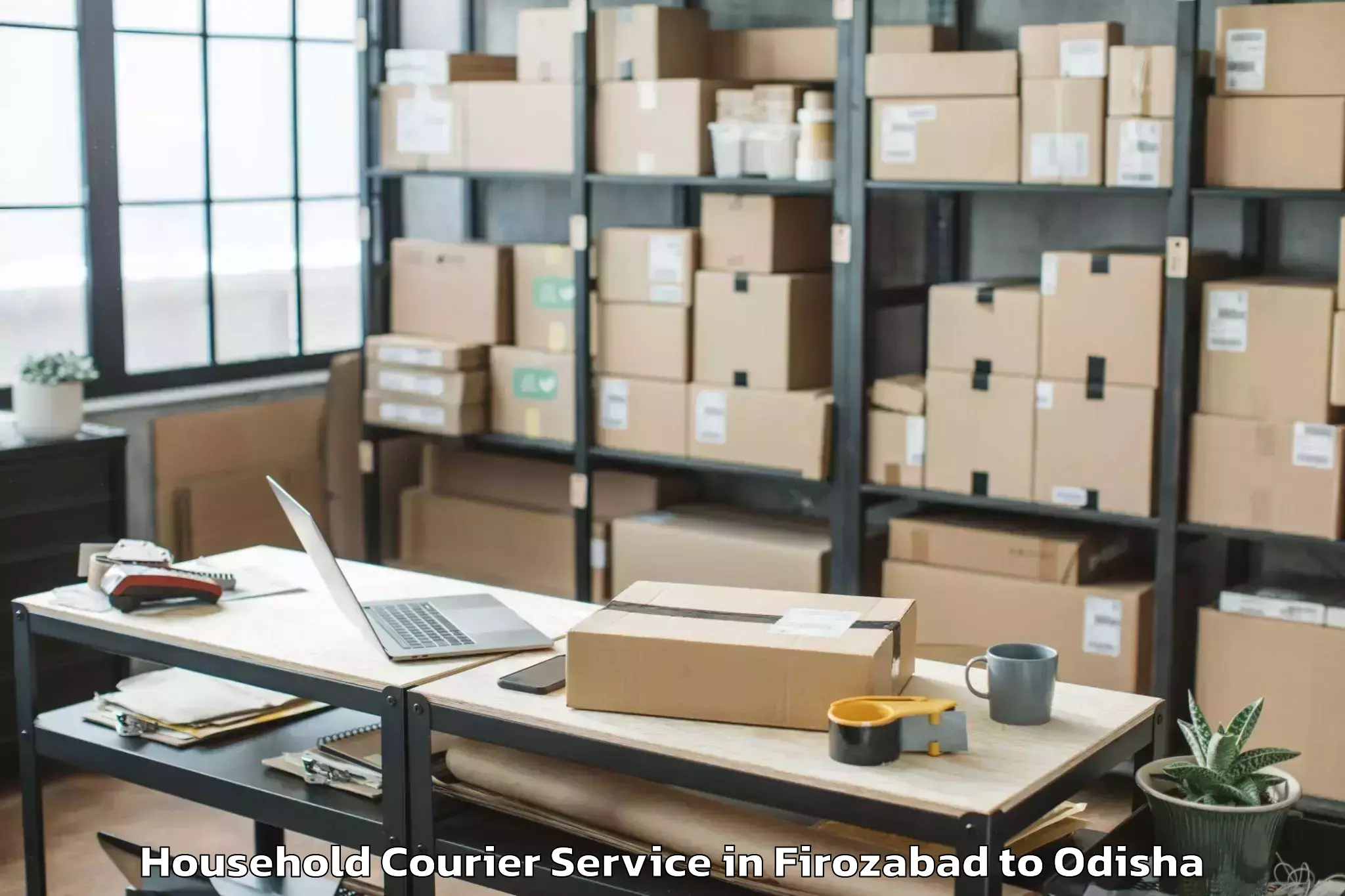 Reliable Firozabad to Anandapur Household Courier